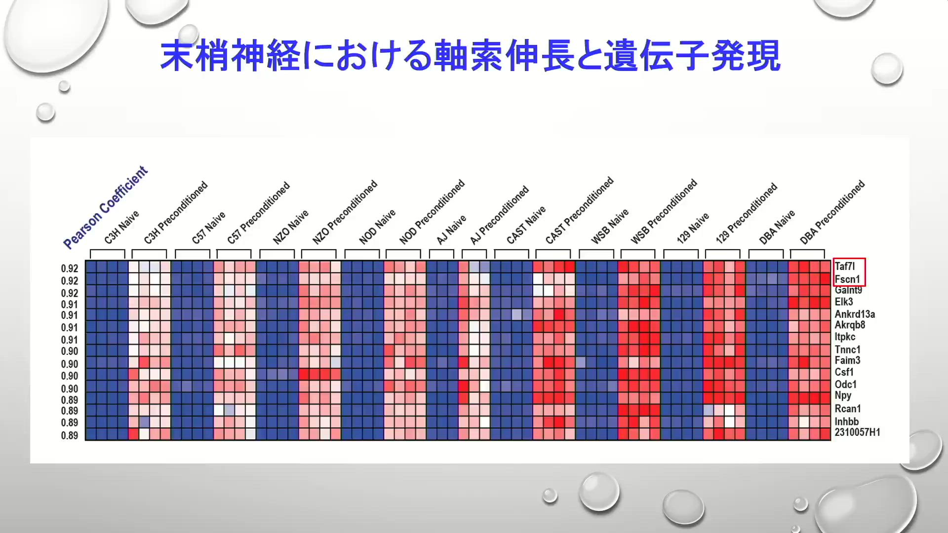 第69回日本手外科学会学術集会 | e-casebook